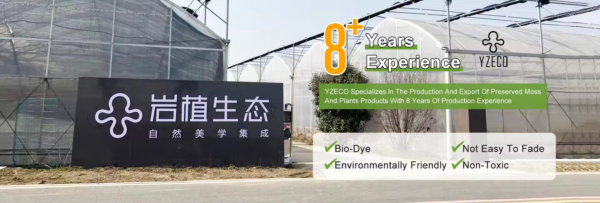 качество Естественный сохранившийся мох завод